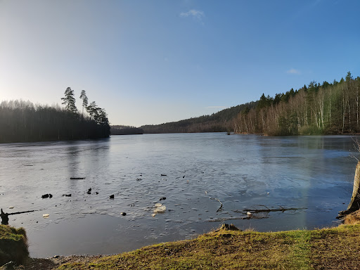 Skedalaskog
