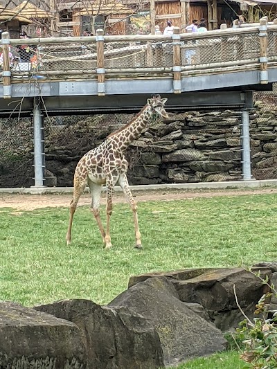 Cleveland Metroparks Zoo