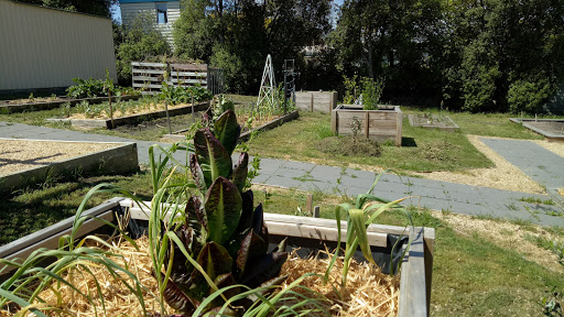 Margate Community Gardens - Thumbnail