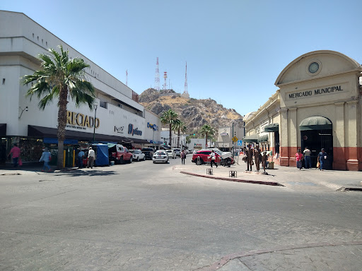 Optima-Hermosillo - Visual