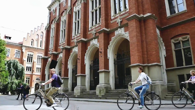 Opinii despre BikeTrip Bike Rental - Wypożyczalnia Rowerów, Serwis rowerowy, Wycieczki în Wieliczka - Sklep rowerowy