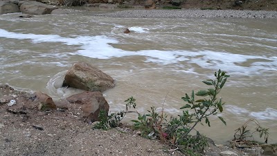 Photos of سوق البخارية