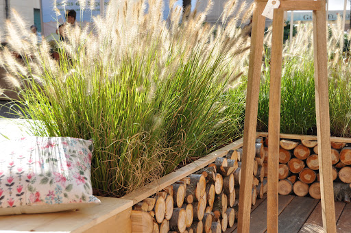 B+ Outdoor - Visual