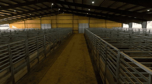 WA Arena Gallery - United States