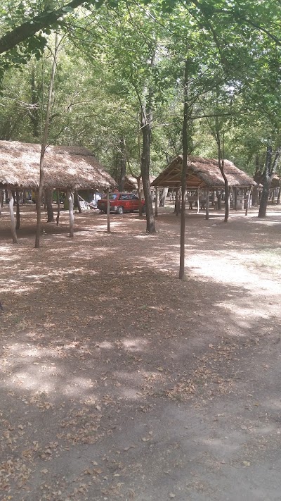 Photos of Camping Forest
