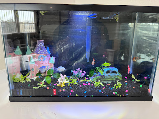 Best Aquarium Service NYC, Inc. - Thumbnail
