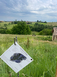 Photo n°9 de Domaine Des Coteaux D'or à Porte des Pierres Dorées (Prestataire de mariage)