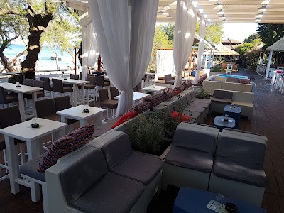 Photos of Lime Bar