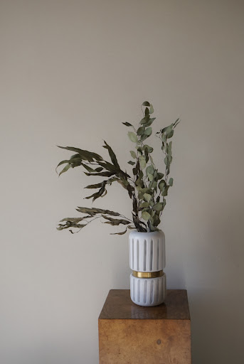 Georgie Studio