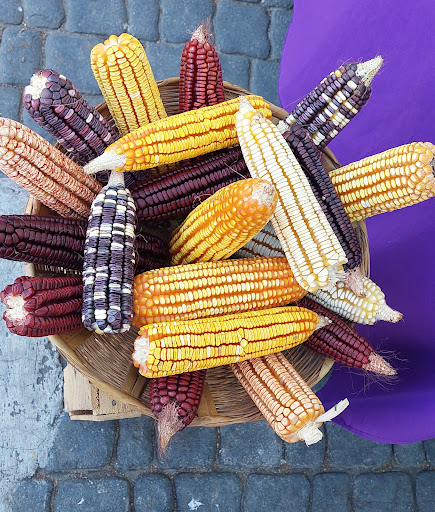 Organic Market Huatulco Gallery - Mexico