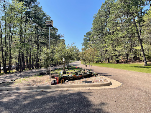 PINEY POINT (recgovnpsdata) - Visual