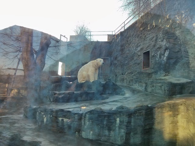 ZOO Praha - severní parkoviště