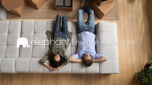 Elephant Real Estate Room Villalba