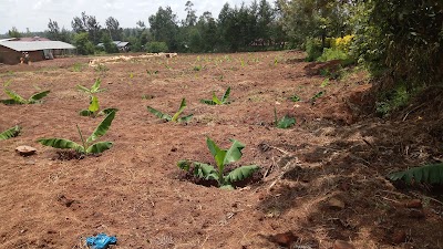 Photos of Agriculture Student gardens