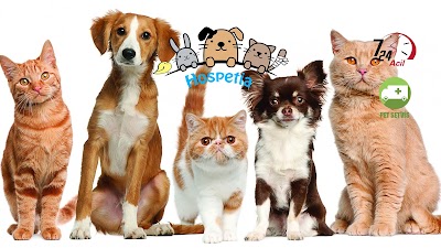 Photos of Hospet Veterinary Clinic