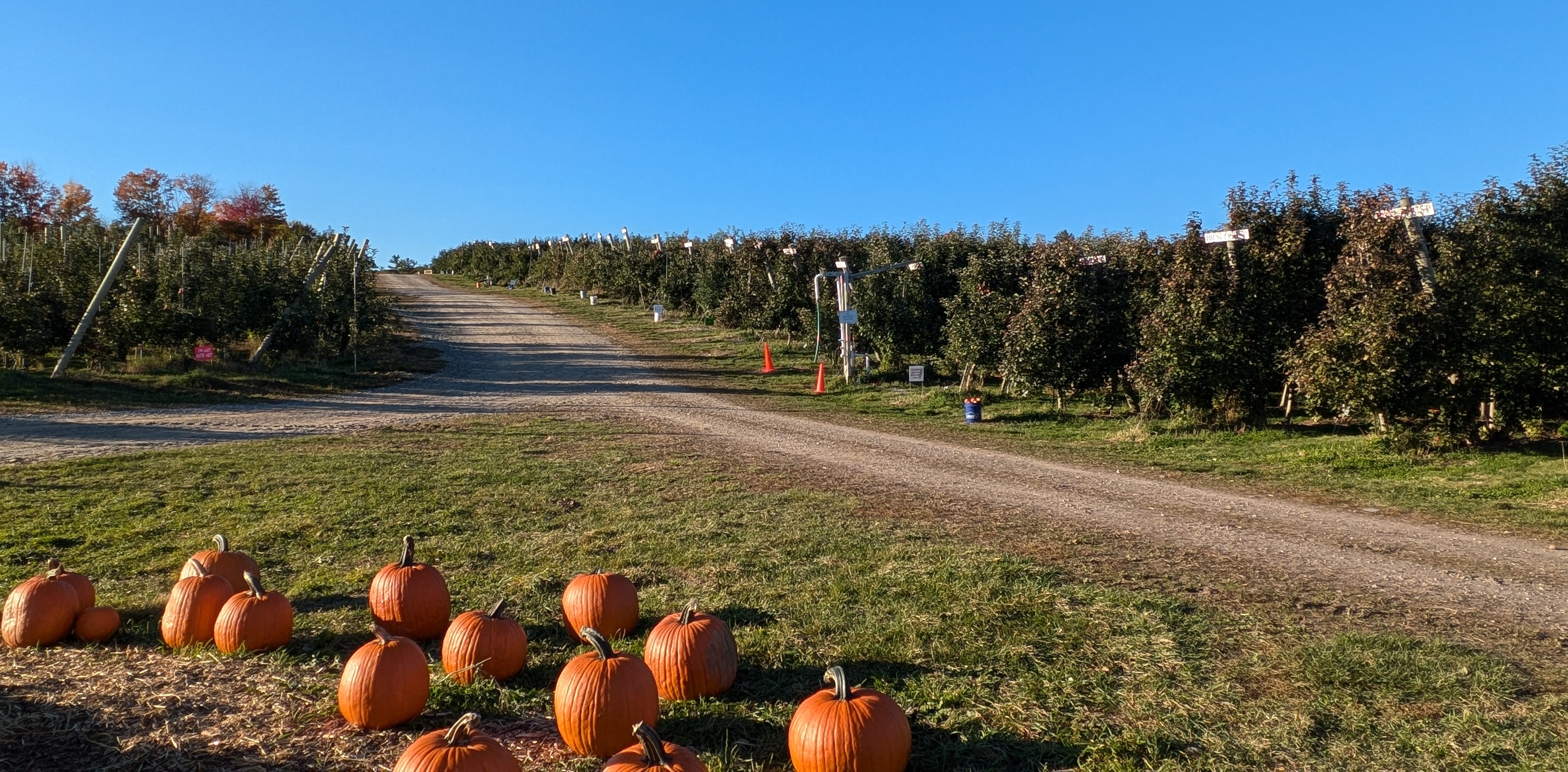 Stone Mountain Farm