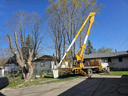 AAA Tree Removal