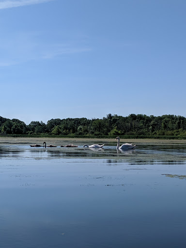 Schultz Park - Visual