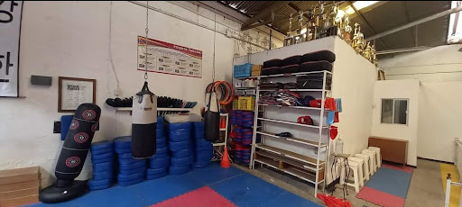 Agiles y Fuertes Taekwondo Santa Fe - Thumbnail