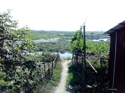 Photos of Barua Bagan bari বরুয়া বাগান বাড়ি