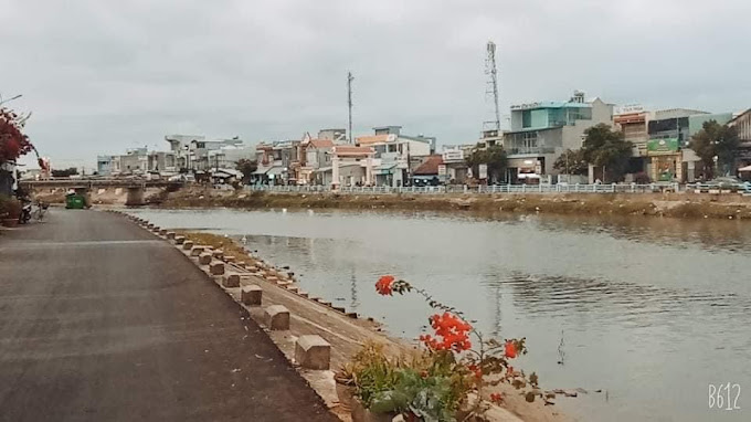 Bánh Bèo Cây Đào