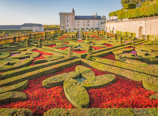 Photo de Château de Villandry à Villandry (37510)