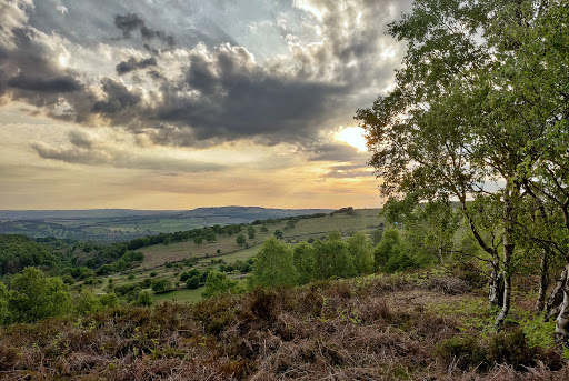 Birchen Edge - Thumbnail