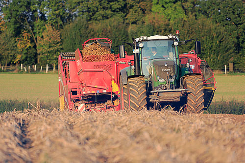 Kartoffelmanufaktur Pahmeyer GmbH & Co. KG