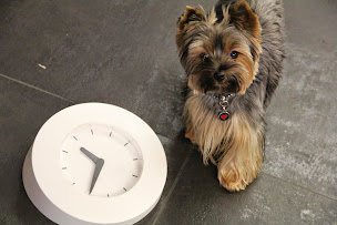 Photo n°7 de Acacia Clinique vétérinaire - Dr Virginie DELPONT à Noisy-le-Roi (Vétérinaire)