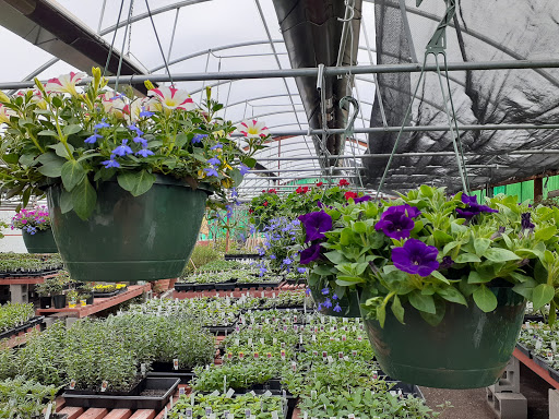 King's Eastside Greenhouse