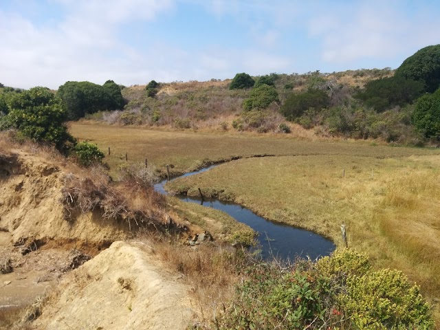 Tomales Bay Oyster Company