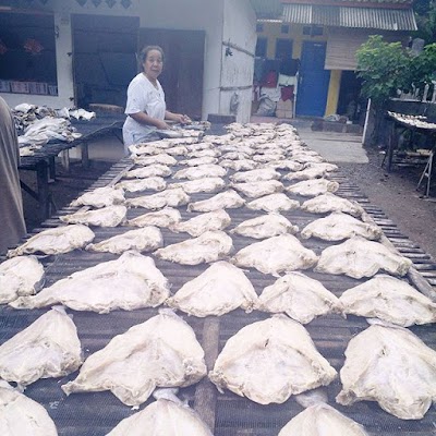 Photos of Mamah Jambal