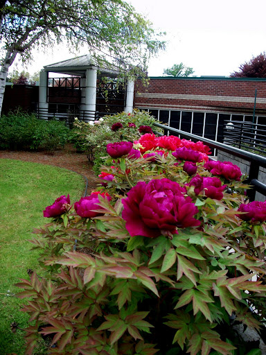 Washington Odd Fellows Home - Thumbnail