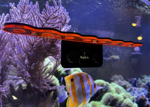 Reefdeck - Thumbnail