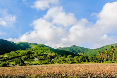 Photos of Cades Bay Agricultural Station