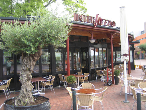site_photo2