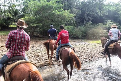 Photos of Outback Trails
