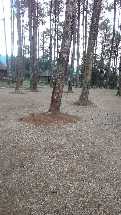 Photos of Orchid Forest Cikole