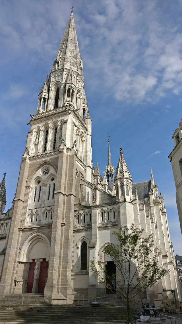 Amorino place Royale