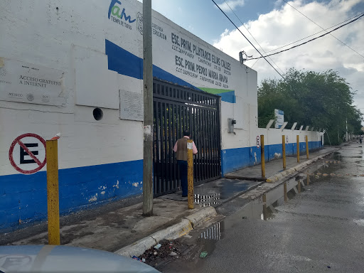 PRIMARIA PLUTARCO ELIAS CALLES - Thumbnail