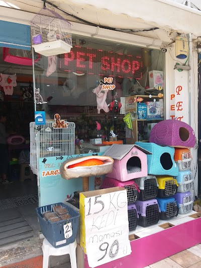 pet shop tarçın