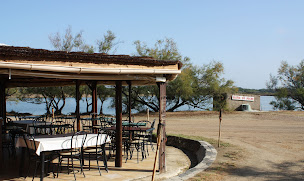 Photo n°1 de Les Poissons d'Argent - Aire Camping-car & Restaurant à Aigues-Mortes (Terrain pour camping-cars)