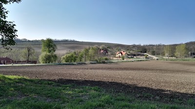 Photos of Etyek Horse Ranch
