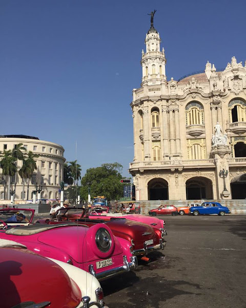 Офіс Туристичної Агенції Golden Monkey