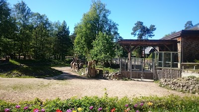 Photos of Rigas zoodarza zirgi , atrakcijas