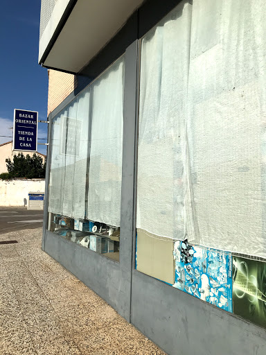 Chollo Oriental - Visual