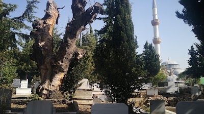 Cekmekoy Old Cemetery