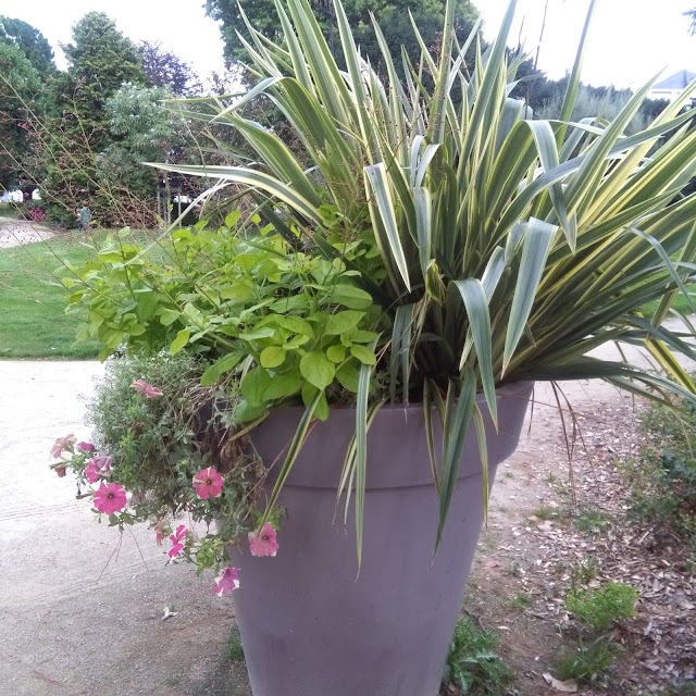 Jardin des plantes
