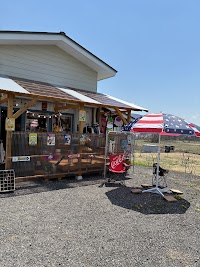 Three Dogs ガレージ