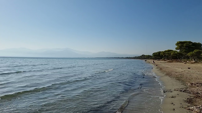 Εθνικό Πάρκο Σχινιά Μαραθώνα - Μαραθώνας
